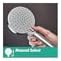 Hansgrohe Vernis Blend 4-Inch Handheld Shower Head with Rain and IntenseRain Sprays