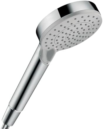 Hansgrohe Vernis Blend 4-Inch Handheld Shower Head with Rain and IntenseRain Sprays