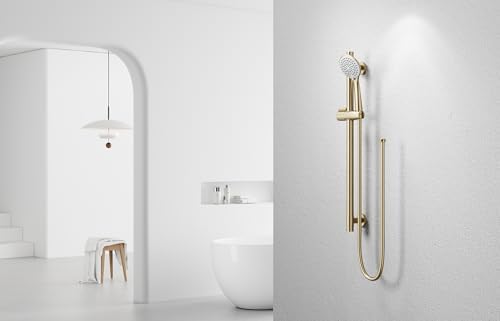 Brushed Gold Handheld Shower Head with Adjustable Slide Bar and Hose