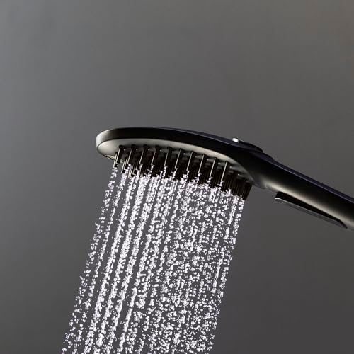 Hansgrohe DogShower 150 3-Jet Handshower Black 175 GPM