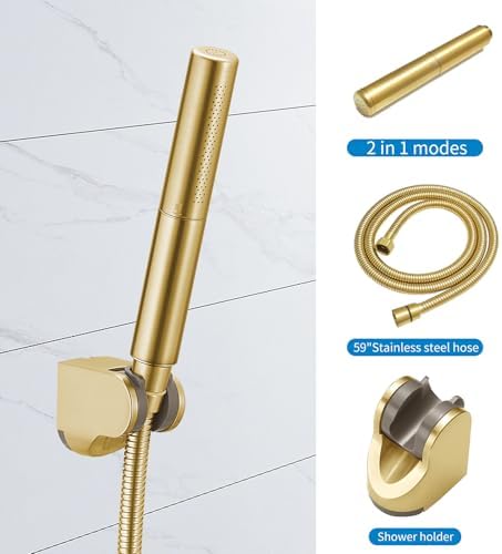 RUMOSE Brushed Gold Handheld Shower Head Set with 2 Spray Modes