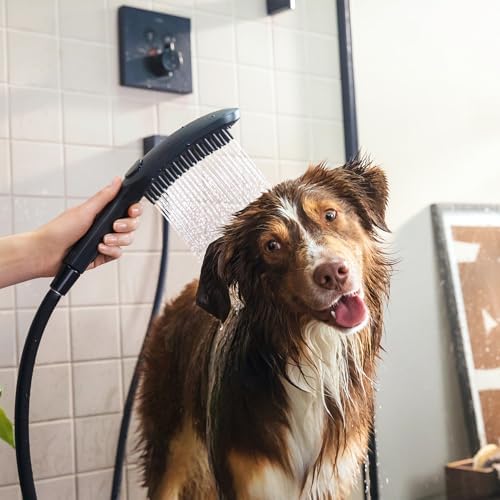 Hansgrohe DogShower 150 3-Jet Handshower Black 175 GPM