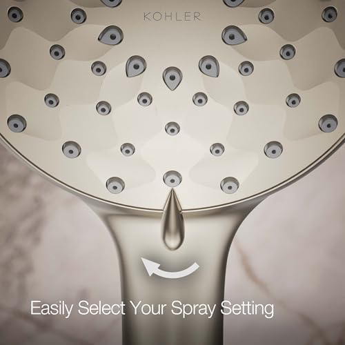 KOHLER Awaken Handshower Brushed Nickel