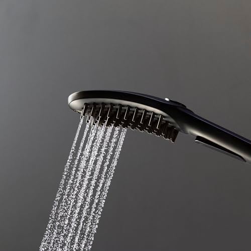 Hansgrohe DogShower 150 3-Jet Handshower Black 175 GPM