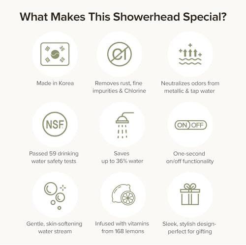 BODIBEAM Filtered Handheld Shower Head with Vitamin C and Sediment Filter