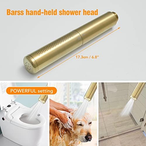 BESy Brass 2 In 1 Handheld Shower Head Set