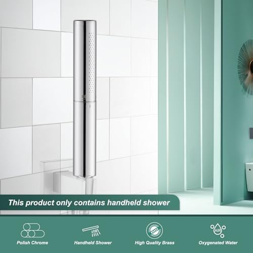 Heyalan Handheld Shower Spray Head Dual Function High Pressure Luxury