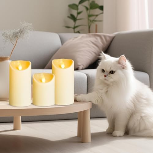 LEOSAN Flameless Candles with Remote Timer 3 pcs