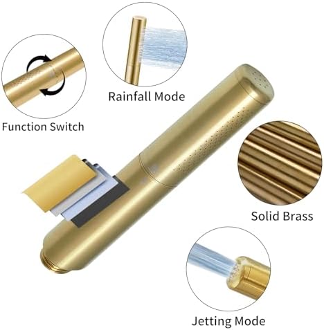 RUMOSE Brushed Gold Handheld Shower Head Set with 2 Spray Modes