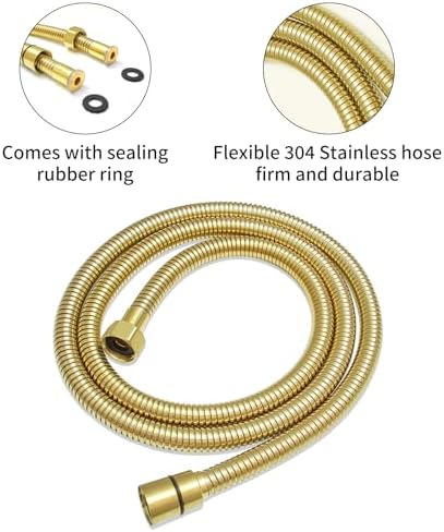RUMOSE Brushed Gold Handheld Shower Head Set with 2 Spray Modes