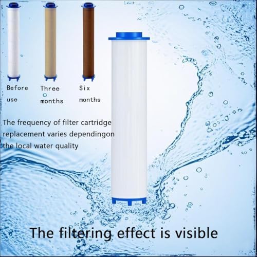 Drivse Handheld Showerhead Filter with Ion Drops