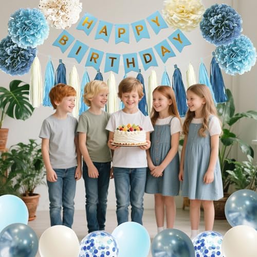 Dusty Blue Birthday Decorations Kit