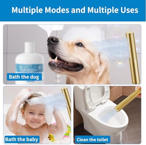 RUMOSE Brushed Gold Handheld Shower Head Set with 2 Spray Modes