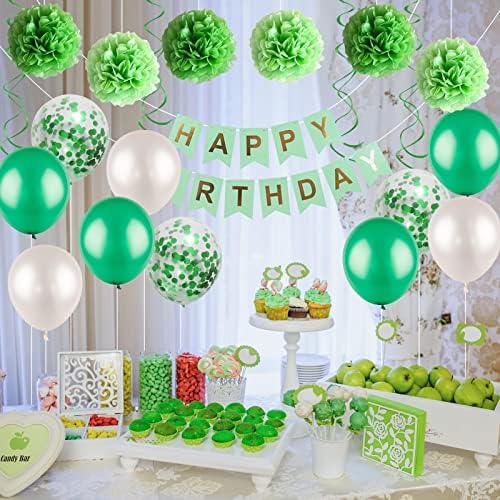 Green Birthday Decorations Kit - Happy Birthday Balloons and Party Supplies